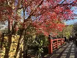 輪播圖片