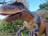 輪播圖片