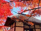 輪播圖片