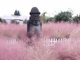 輪播圖片