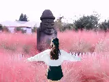 輪播圖片