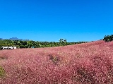 輪播圖片
