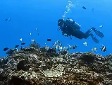輪播圖片