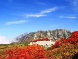 輪播圖片