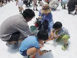 輪播圖片