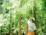 輪播圖片