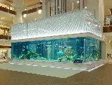 輪播圖片