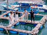 輪播圖片