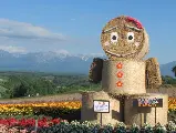 輪播圖片