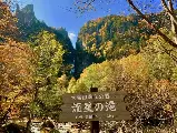 輪播圖片