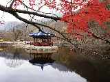 輪播圖片