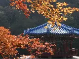 輪播圖片