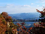 輪播圖片