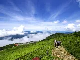 輪播圖片