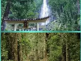 輪播圖片