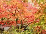 輪播圖片