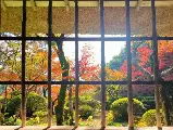 輪播圖片