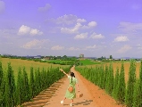 輪播圖片