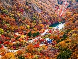 輪播圖片
