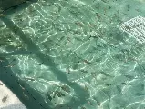 輪播圖片