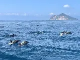 輪播圖片