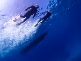 輪播圖片