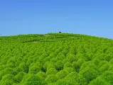 輪播圖片