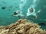 輪播圖片