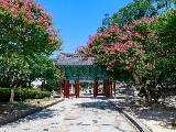 輪播圖片