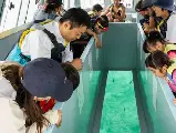 輪播圖片