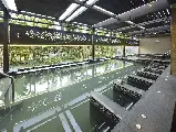 輪播圖片