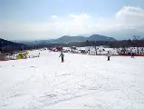 輪播圖片