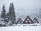 輪播圖片