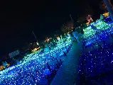 輪播圖片