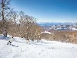 輪播圖片