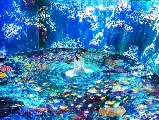 輪播圖片
