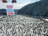 輪播圖片