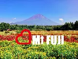 輪播圖片