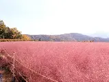 輪播圖片