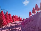 輪播圖片