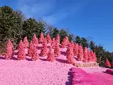 輪播圖片