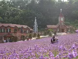 輪播圖片