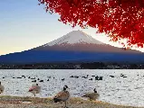 輪播圖片