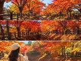 輪播圖片