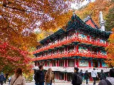 輪播圖片