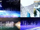 輪播圖片