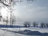 輪播圖片