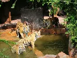 輪播圖片