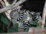 輪播圖片