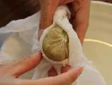 輪播圖片